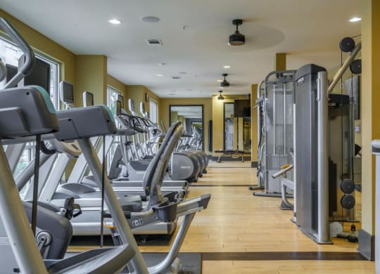 Berkshire Medical District apartments fitness center with high-impact cardio equipment