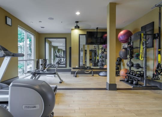 Berkshire Medical District apartments fitness center