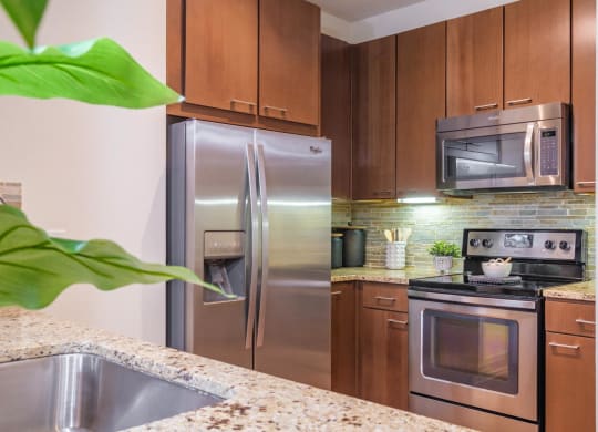 Berkshire Medical District apartment kitchen with stainless appliances