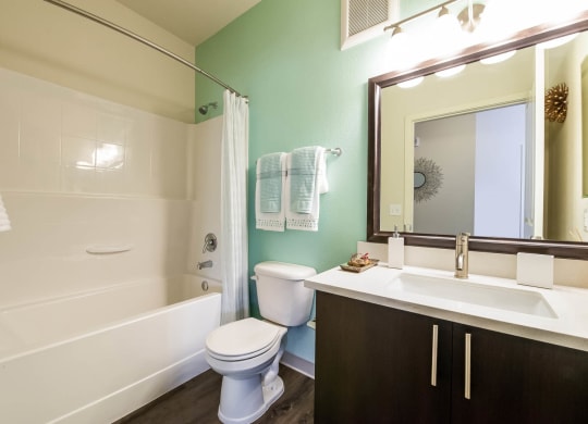 Carrick Bend apartments spacious bathroom