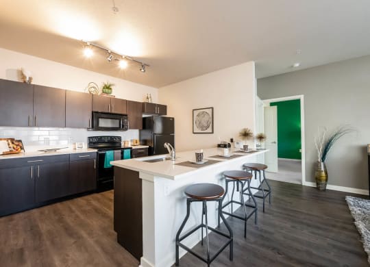 Carrick Bend apartments luxury kitchen