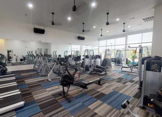 a fully equipped gym with cardio equipment and weights