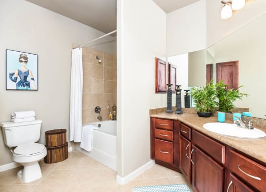 Falls at Eagle Creek apartments spacious bathroom