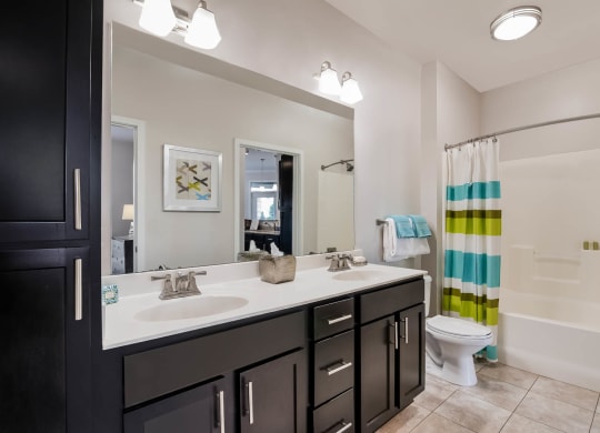 Village at Marquee Station apartments bathroom
