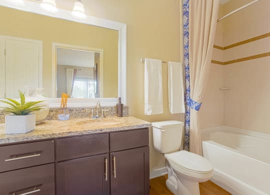 Reserves at Alafaya apartments bathroom
