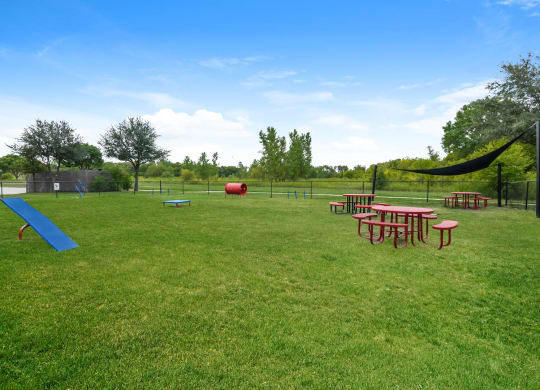 Soho Parkway apartments onsite dog park