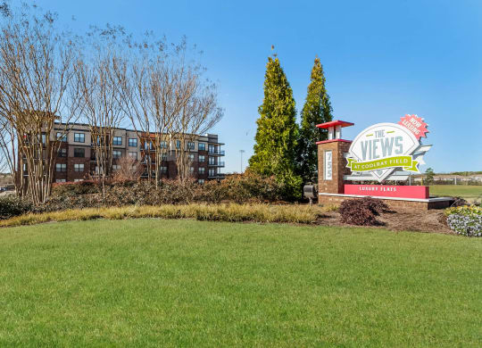 Views at Coolray Field apartments Lawrenceville, GA  30043