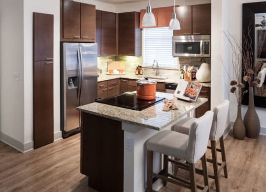 Gourmet Kitchen with Granite Countertops at Berkshire Medical District, Dallas