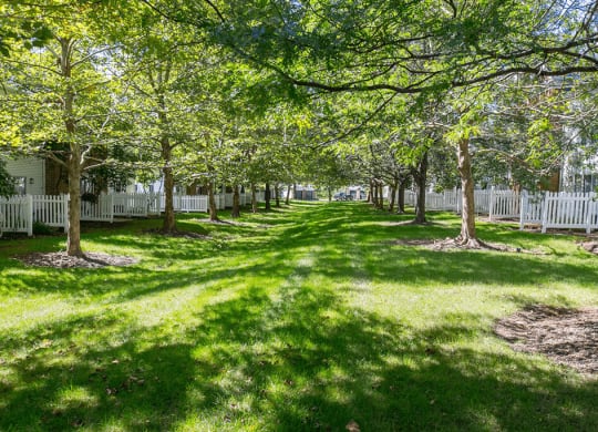 Lush Landscaping And Park-Like Setting at The Residence at Christopher Wren Apartments, Columbus, Ohio