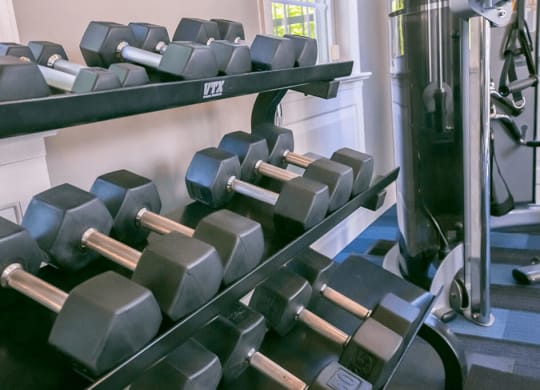 Free Weights at The Residence at Christopher Wren Apartments, Columbus