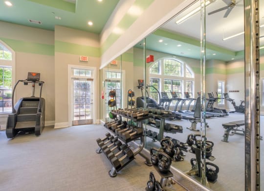 Ellington Metro West fitness center with free weights