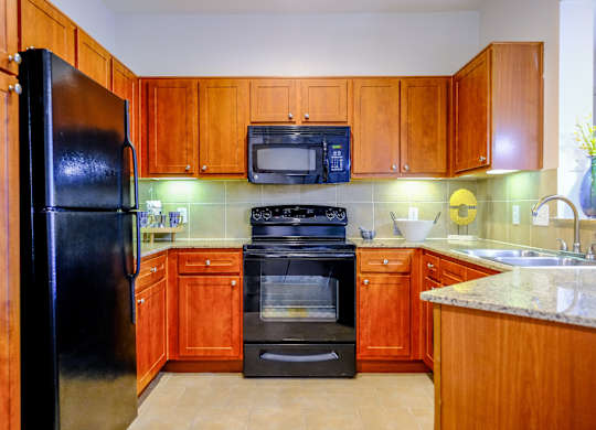 luxury kitchen at The Falls at Copper Lake apartments for rent in Houston