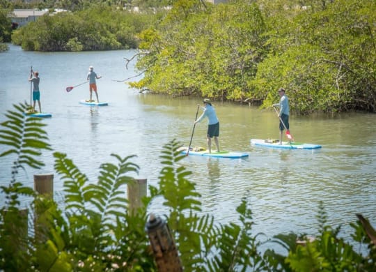 Paddle boarding in Jupiter FL at The Sophia at Abacoa, Jupiter