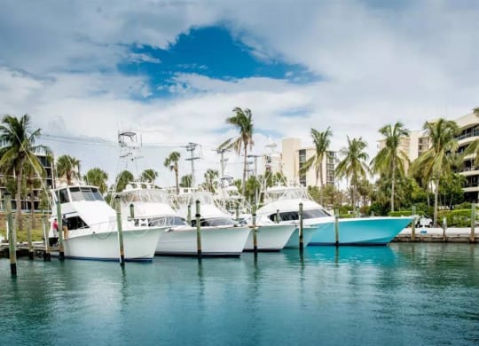 Loggerhead Marina at The Sophia at Abacoa, Jupiter, FL