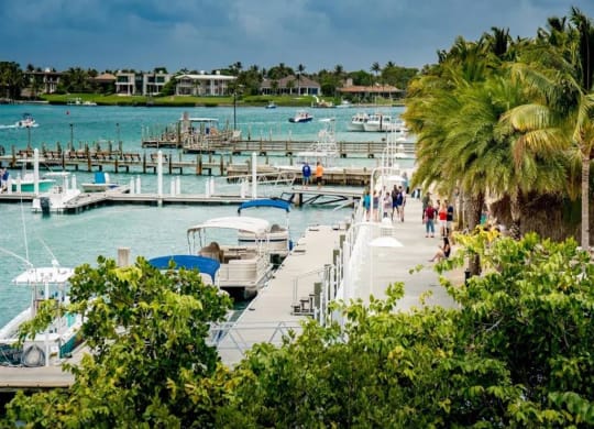 Jupiter Beach at The Sophia at Abacoa, Florida, 33458
