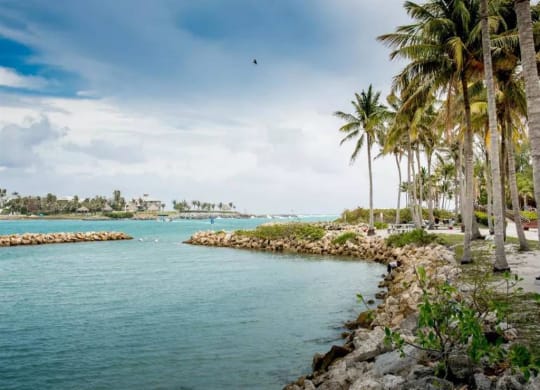 Jupiter Beach and Palms at The Sophia at Abacoa, Jupiter