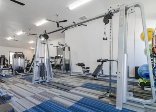 Fitness Center With Modern Equipment at Berkshire Preserve, Garland