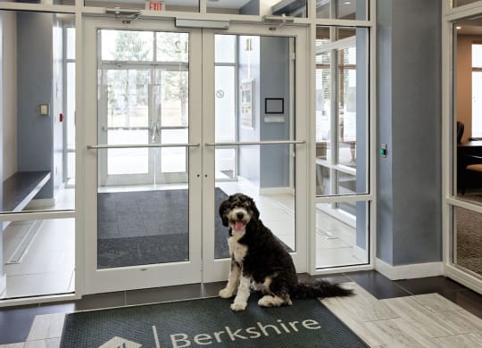 Luxury Studio, 1 and 2 Bedroom Apartments in Quincy MA, near Downtown Boston, 12 Highpoint Circle Quincy, MA 02169