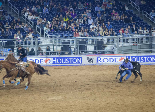 Houston Rodeo