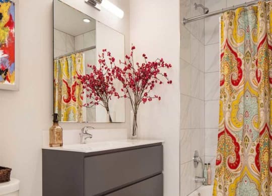Chicago Apartments with Spa Baths with Garden Soaking Tub Double Drawer Vanity