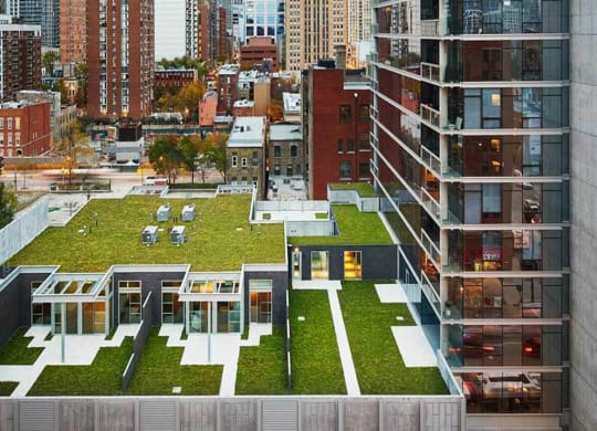 Chicago Apartments and Townhomes with Green Roof and Chicago City Skyline Views at Eight O Five Apartments, Chicago, IL 60610