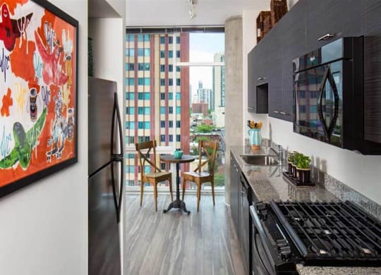 Bright Kitchen View at 805 N. Lasalle Drive, Chicago, IL.  60610, Studio Apartments with Chicago City Views