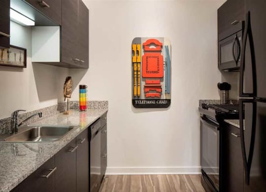 Kitchen Applicances at Eight O Five Apartments Chicago Ebony Kitchen Cabinets Granite Counters Black Appliances