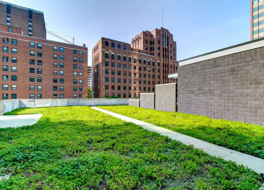 Green Roof at 805 N. Lasalle Drive, Chicago