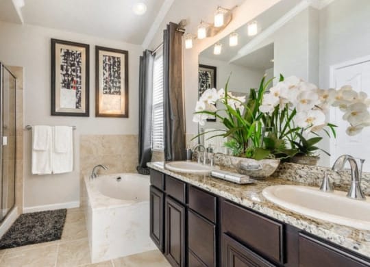 Luxurious Bathrooms at Villages of Briggs Ranch, Texas, 78245