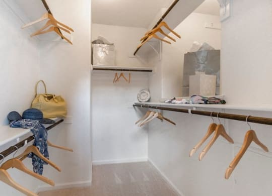 Walk-In Closets With Built-In Shelving at Villages of Briggs Ranch, San Antonio, TX, 78245