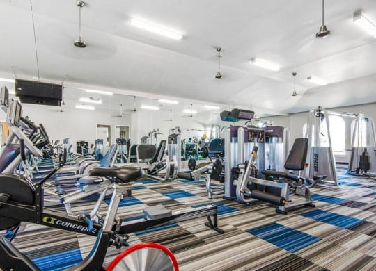 Cardio Machines In Gym at Villages of Georgetown, TX, 78626