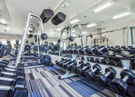 Free Weights In Gym at Villages of Georgetown, Georgetown, TX