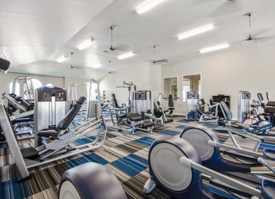 Fully Equipped Fitness Center at Villages of Georgetown, Georgetown, 78626