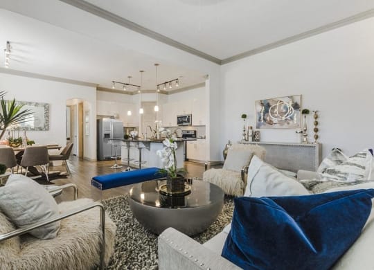 Gorgeous Living Room at Villages of Georgetown, Georgetown, 78626