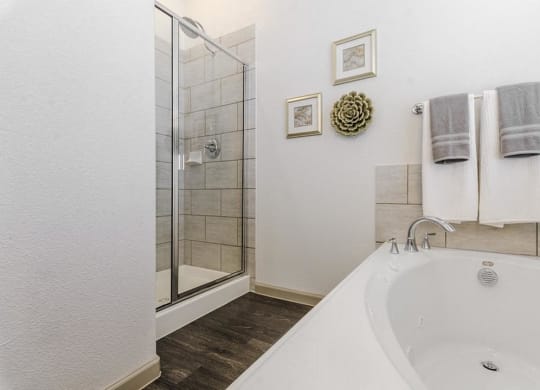 Renovated Bathrooms With Quartz Counters at Villages of Georgetown, Texas, 78626