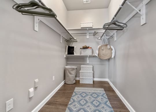 Walk in Closet  at Park at Bayside, Rowlett, 75088