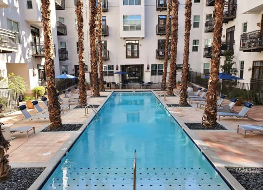 Pool Photo at Roosevelt Square, Phoenix