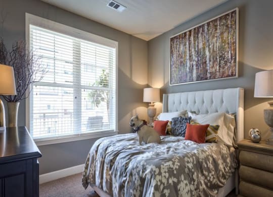 Beautiful Bright Bedroom With Wide Windows at Berkshire Village District, North Carolina