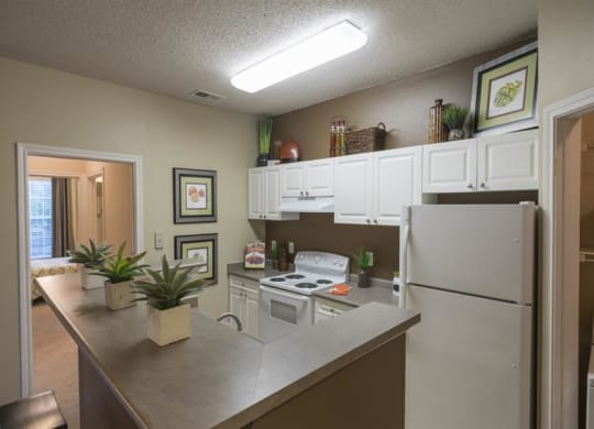 Granite Countertop Kitchen at Wyndchase Aspen Grove, Franklin