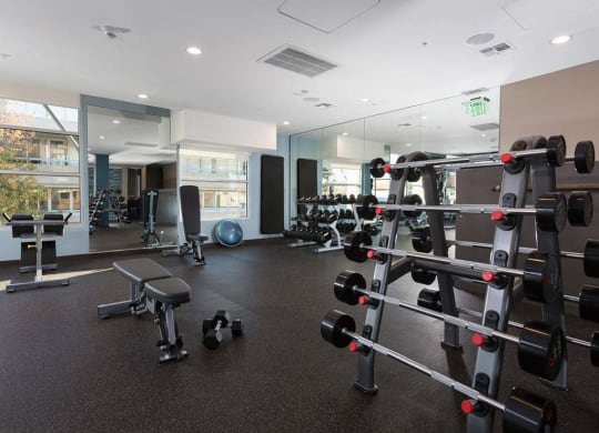 Gym Area at Lyric, Walnut Creek, CA, 94596