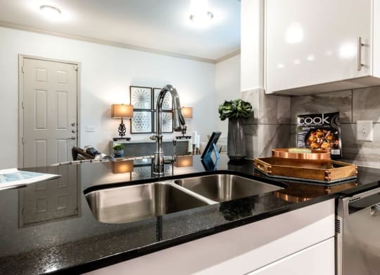 Stainless Steel Sink With Faucet In Kitchen at Berkshire Creekside, New Braunfels