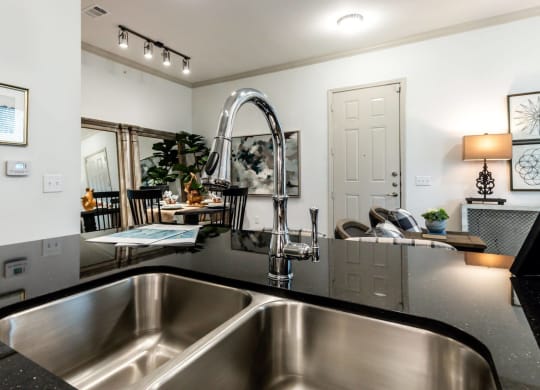 Stainless Steel Sink With Faucet at Berkshire Creekside, New Braunfels, Texas