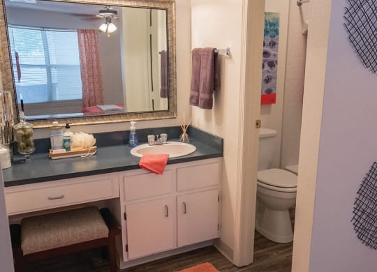 Luxurious Bathroom at Saw Mill Village Apartments, Columbus, Ohio