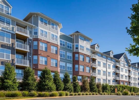 a view from outside Reveal Hackensack apartments and surrounding trees