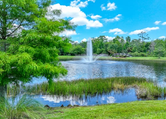 view of the lake with a fountain at The Reserves at Alafaya apartments