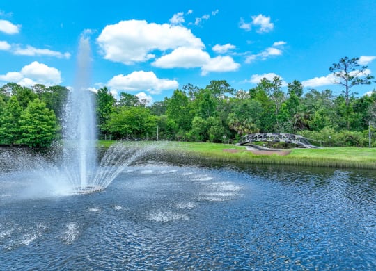 a lake with a fountain at The Reserves at Alafaya apartments