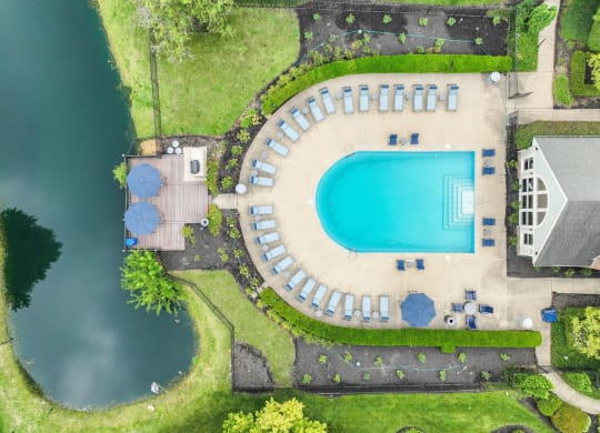 arial view of a swimming pool with umbrellas