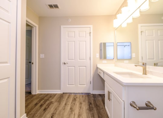 a bathroom with a sink and a mirror