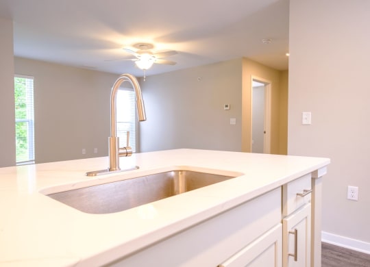 a kitchen with a custom sink and designer countertops