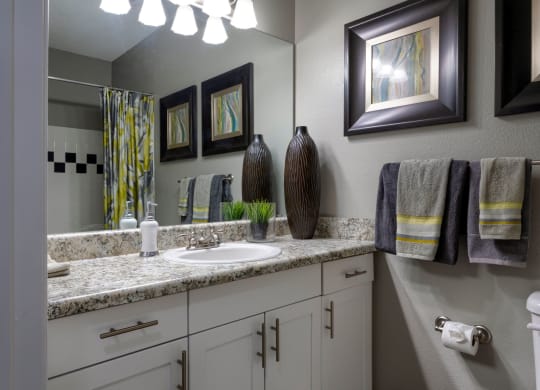 spacious bathroom  at Wyndchase Aspen Grove, Franklin, TN, 37067